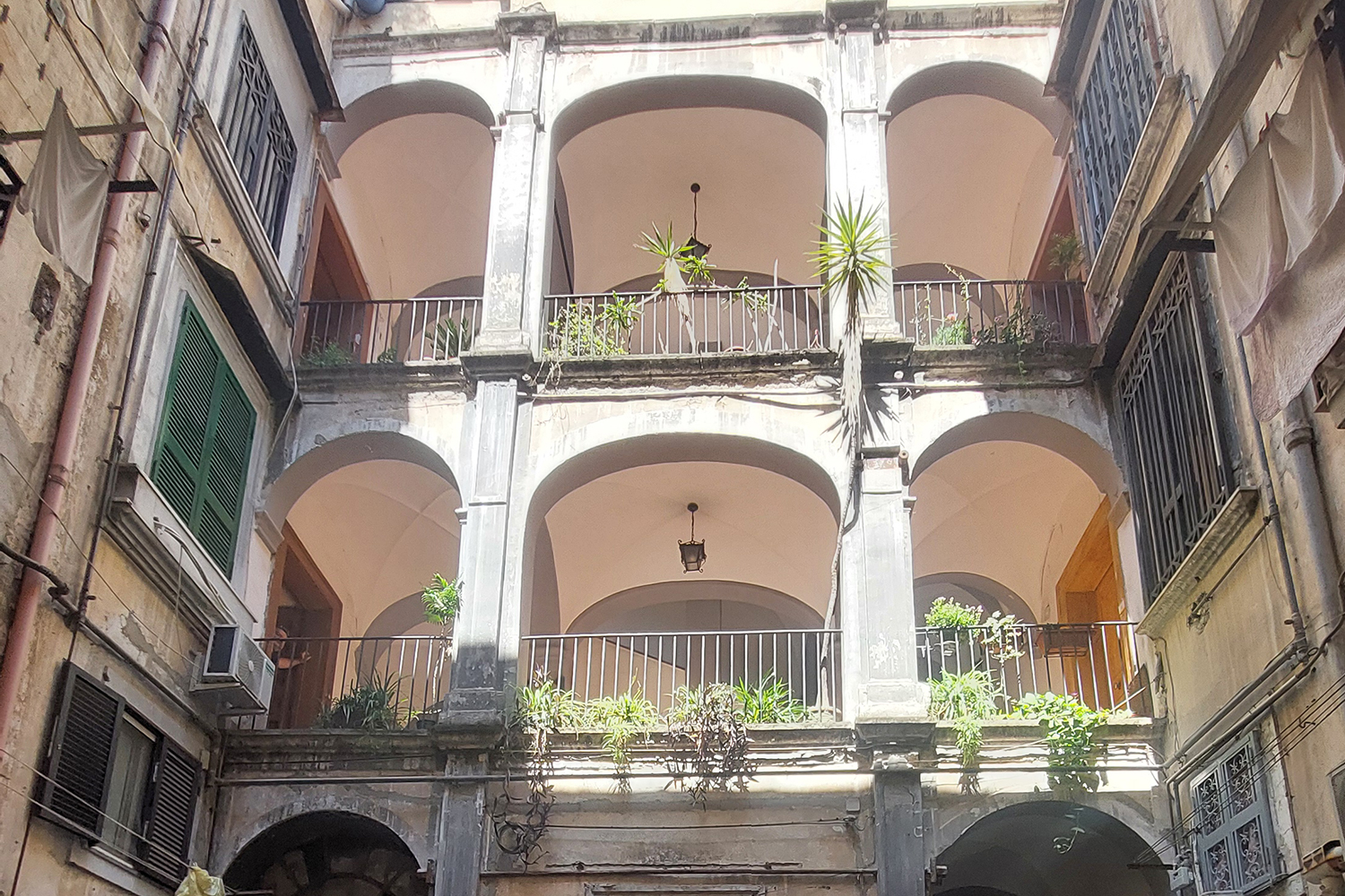 vista corte
